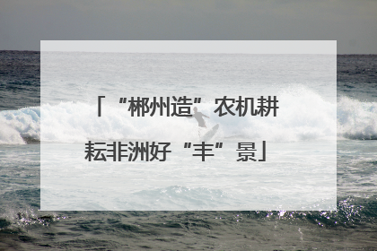 “郴州造”农机耕耘非洲好“丰”景