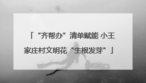 “齐帮办”清单赋能 小王家庄村文明花“生根发芽”