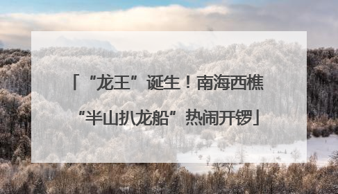 “龙王”诞生！南海西樵“半山扒龙船”热闹开锣