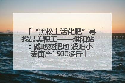 “黑松土活化肥”寻找最美粮王——濮阳站：碱地变肥地 濮阳小麦亩产1500多斤