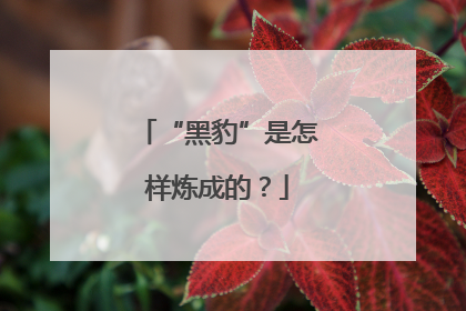 “黑豹”是怎样炼成的？