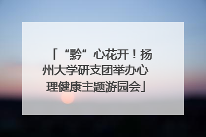 “黔”心花开！扬州大学研支团举办心理健康主题游园会