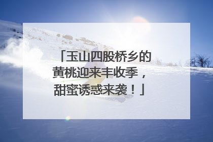 玉山四股桥乡的黄桃迎来丰收季，甜蜜诱惑来袭！