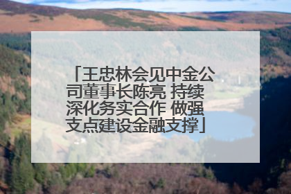 王忠林会见中金公司董事长陈亮 持续深化务实合作 做强支点建设金融支撑