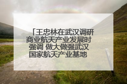 王忠林在武汉调研商业航天产业发展时强调 做大做强武汉国家航天产业基地 打造具有全国影响力的“中国星谷”