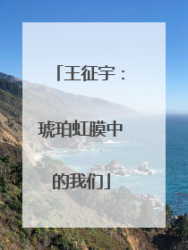 王征宇：琥珀虹膜中的我们
