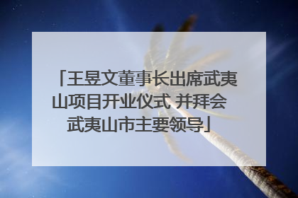 王昱文董事长出席武夷山项目开业仪式 并拜会武夷山市主要领导