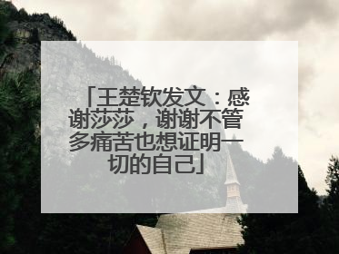 王楚钦发文：感谢莎莎，谢谢不管多痛苦也想证明一切的自己
