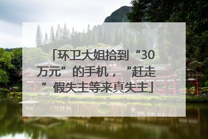 环卫大姐拾到“30万元”的手机，“赶走”假失主等来真失主