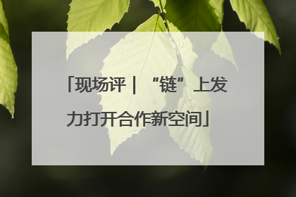 现场评｜“链”上发力打开合作新空间