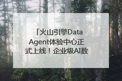 火山引擎Data Agent体验中心正式上线！企业级AI数据专家触手可及