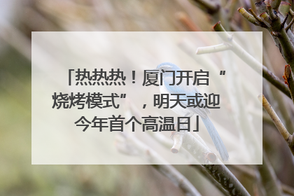热热热！厦门开启“烧烤模式”，明天或迎今年首个高温日