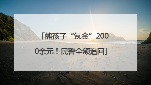 熊孩子“氪金”2000余元！民警全额追回