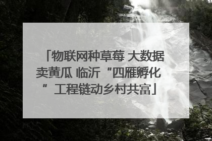 物联网种草莓 大数据卖黄瓜 临沂“四雁孵化”工程链动乡村共富