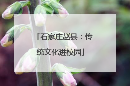 石家庄赵县：传统文化进校园