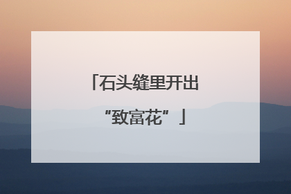 石头缝里开出“致富花”