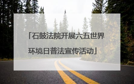 石鼓法院开展六五世界环境日普法宣传活动