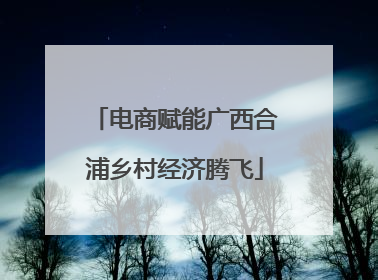 电商赋能广西合浦乡村经济腾飞