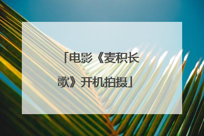 电影《麦积长歌》开机拍摄