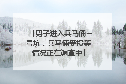 男子进入兵马俑三号坑，兵马俑受损等情况正在调查中