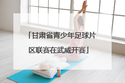 甘肃省青少年足球片区联赛在武威开赛
