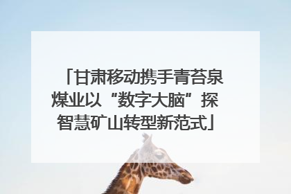甘肃移动携手青苔泉煤业以“数字大脑”探智慧矿山转型新范式