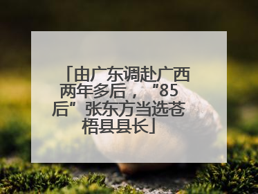 由广东调赴广西两年多后，“85后”张东方当选苍梧县县长