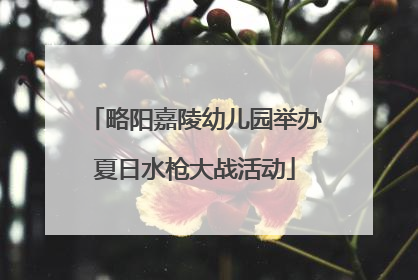 略阳嘉陵幼儿园举办夏日水枪大战活动