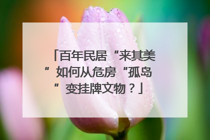 百年民居“来其美”如何从危房“孤岛”变挂牌文物？