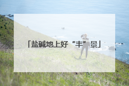 盐碱地上好“丰”景