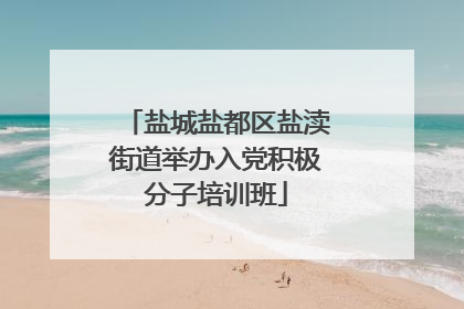盐城盐都区盐渎街道举办入党积极分子培训班