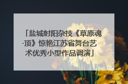 盐城射阳杂技《草原魂·顶》惊艳江苏省舞台艺术优秀小型作品调演