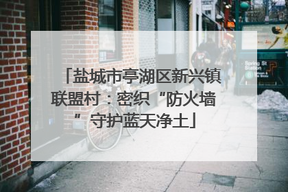 盐城市亭湖区新兴镇联盟村：密织“防火墙”守护蓝天净土
