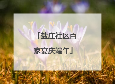 盐庄社区百家宴庆端午