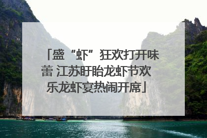 盛“虾”狂欢打开味蕾 江苏盱眙龙虾节欢乐龙虾宴热闹开席