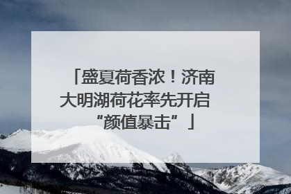 盛夏荷香浓！济南大明湖荷花率先开启“颜值暴击”