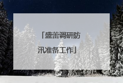 盛蕾调研防汛准备工作
