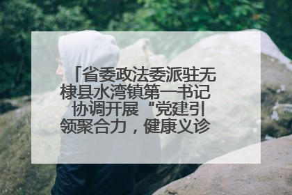 省委政法委派驻无棣县水湾镇第一书记 协调开展“党建引领聚合力，健康义诊惠乡亲”义诊活动