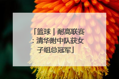 篮球｜耐高联赛：清华附中队获女子组总冠军