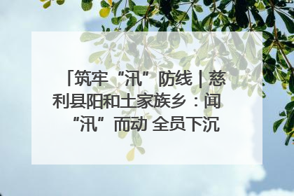 筑牢“汛”防线｜慈利县阳和土家族乡：闻“汛”而动 全员下沉筑牢防汛“安全堤”