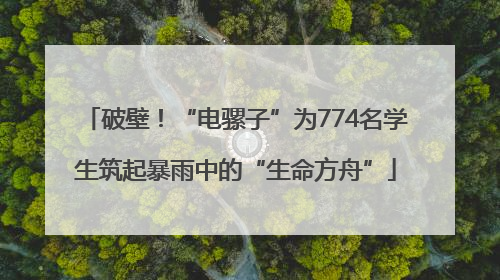 破壁！“电骡子”为774名学生筑起暴雨中的“生命方舟”