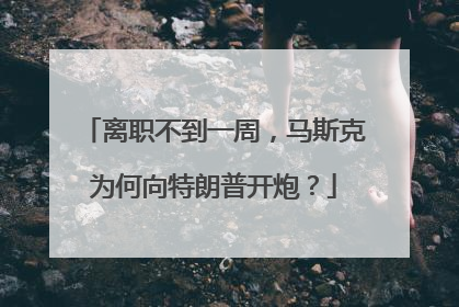 离职不到一周，马斯克为何向特朗普开炮？