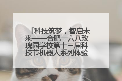 科技筑梦，智启未来——合肥一六八玫瑰园学校第十三届科技节机器人系列体验赛燃动校园