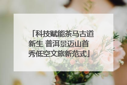 科技赋能茶马古道新生 普洱景迈山首秀低空文旅新范式