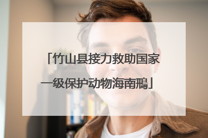 竹山县接力救助国家一级保护动物海南鳽