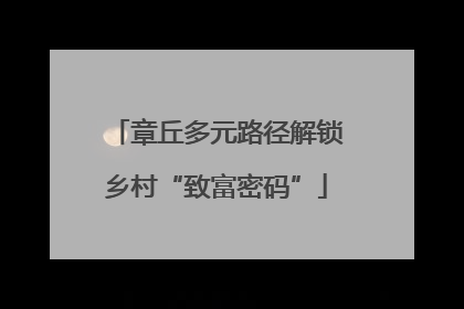 章丘多元路径解锁乡村“致富密码”