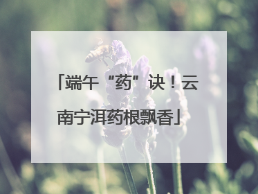 端午“药”诀！云南宁洱药根飘香