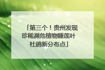 第三个！贵州发现珍稀濒危植物睡莲叶杜鹃新分布点