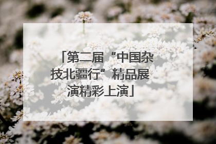第二届“中国杂技北疆行”精品展演精彩上演