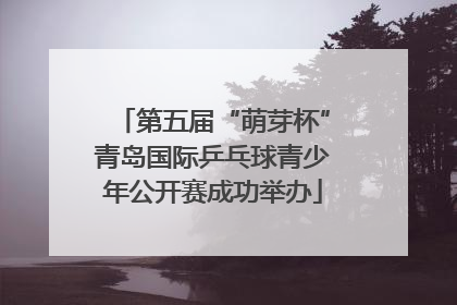 第五届“萌芽杯”青岛国际乒乓球青少年公开赛成功举办